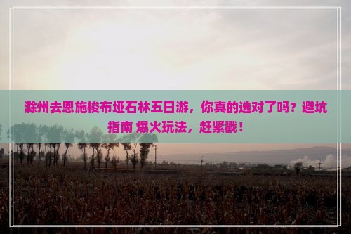 滁州去恩施梭布垭石林五日游