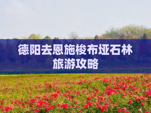 德阳去恩施梭布垭石林攻略