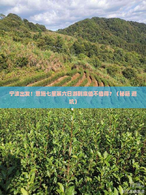 宁波到恩施七星寨六日游