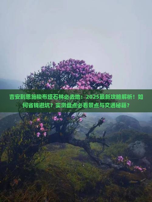 吉安到恩施梭布垭石林必去地