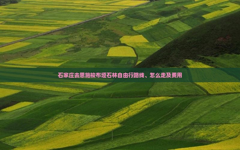 石家庄去恩施梭布垭石林自由行