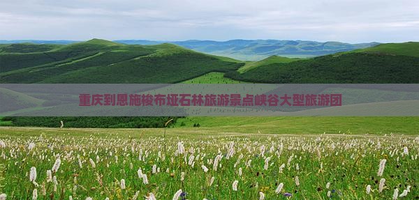 重庆到恩施梭布垭石林大型旅游团
