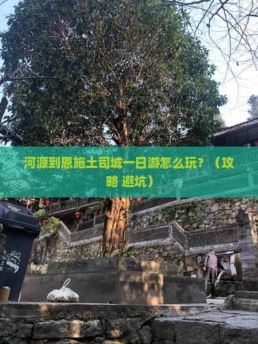 河源到恩施土司城一日