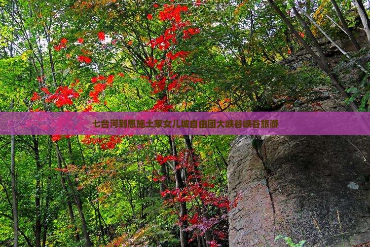 七台河到恩施土家女儿城自由团
