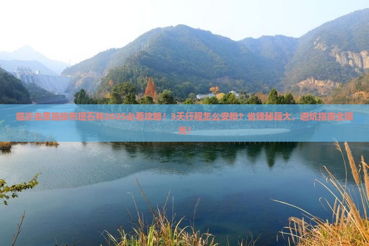 临沂去恩施梭布垭石林攻略