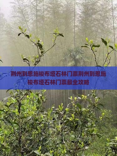 荆州到恩施梭布垭石林门票