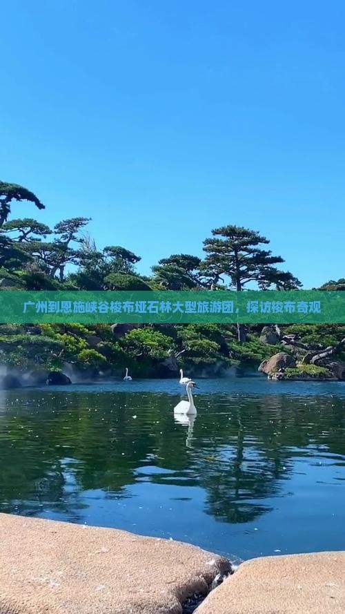 广州到恩施梭布垭石林大型旅游团