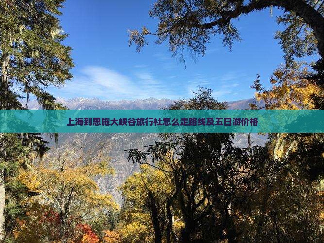 上海到恩施大峡谷旅行社