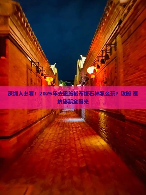 深圳去恩施梭布垭石林攻略