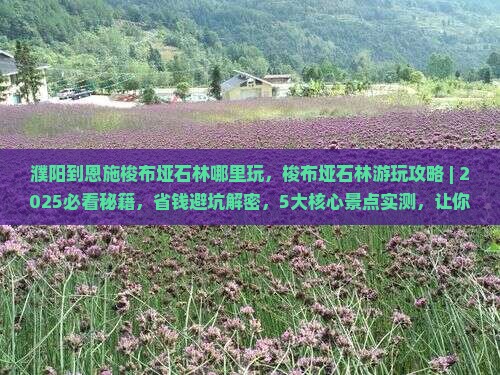 濮阳到恩施梭布垭石林哪里玩