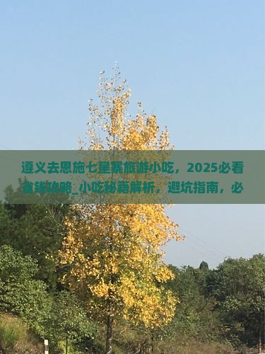 遵义去恩施七星寨旅游小吃