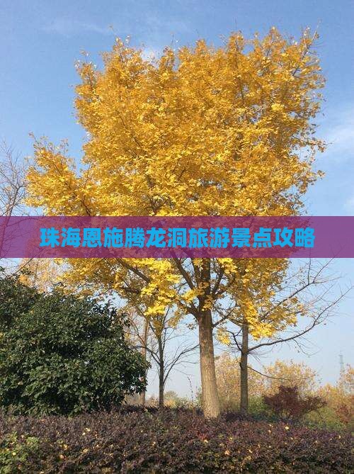 珠海到恩施腾龙洞团体旅游