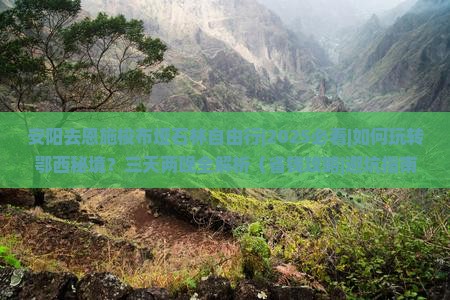 安阳去恩施梭布垭石林自由行