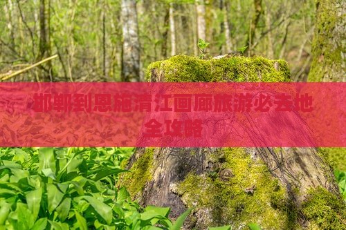 邯郸去恩施清江画廊必去地