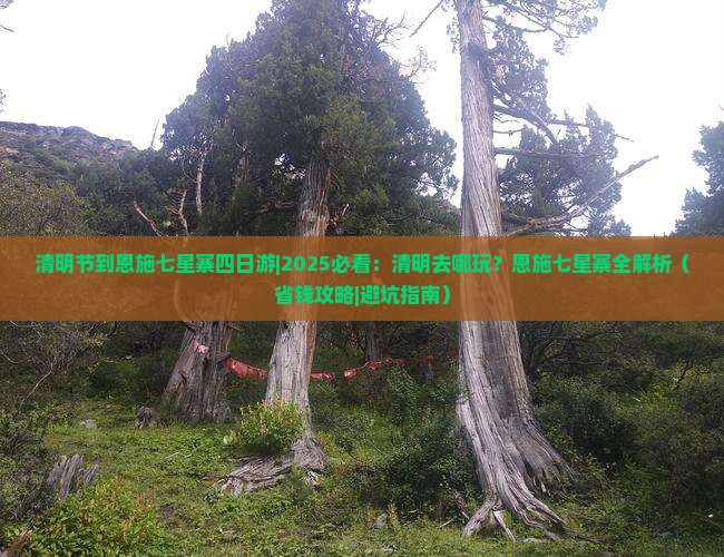 清明节到恩施七星寨四日游