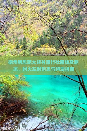 德州到恩施大峡谷旅行社