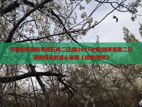 河源到恩施梭布垭石林二日游