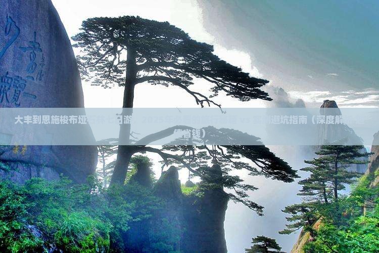 大丰到恩施梭布垭石林七日游