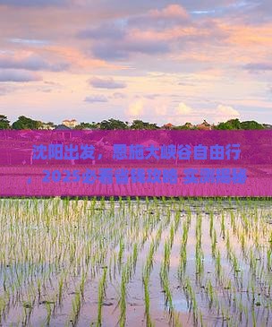 沈阳到恩施大峡谷自由行