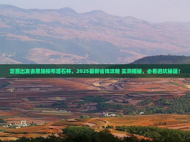定西去恩施梭布垭石林景点