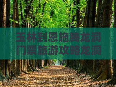 玉林到恩施腾龙洞门票