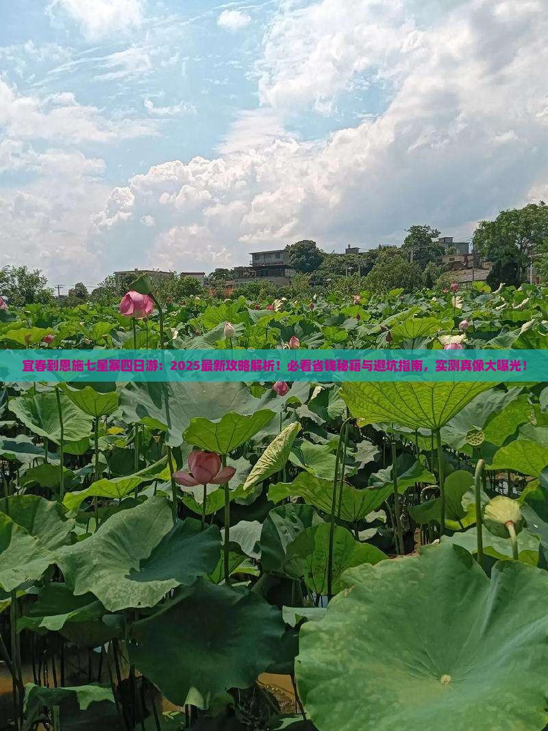 宜春到恩施七星寨四日游
