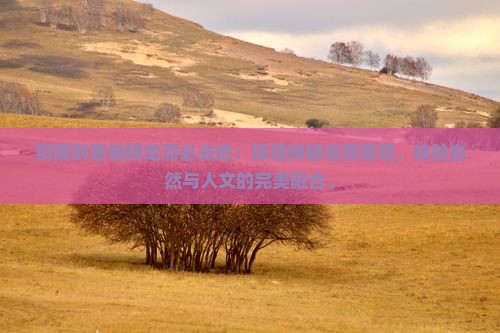 铜陵到恩施腾龙洞必去地