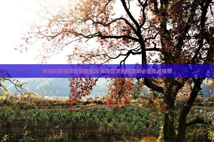 黄南到恩施腾龙洞哪里玩