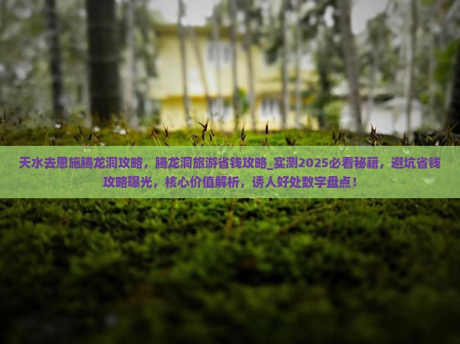 天水去恩施腾龙洞攻略