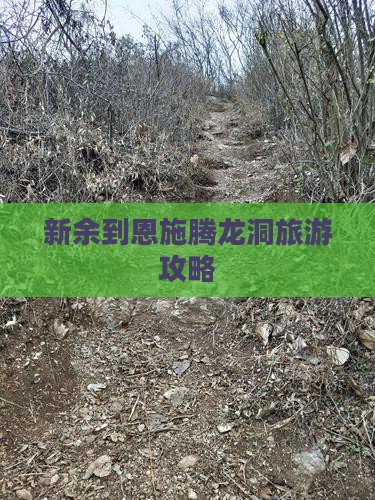 新余到恩施腾龙洞团体旅游