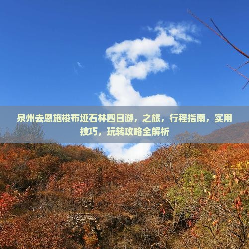 泉州去恩施梭布垭石林四日游
