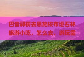巴音郭楞去恩施梭布垭石林旅游小吃