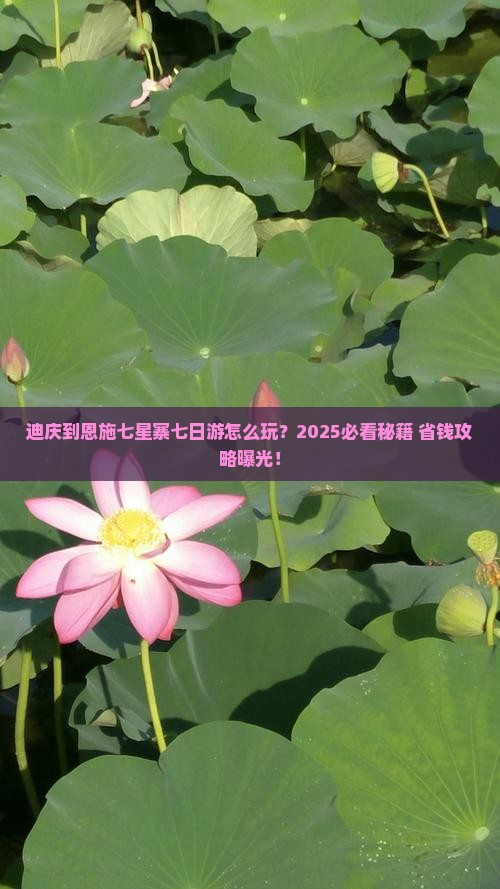 迪庆到恩施七星寨七日游