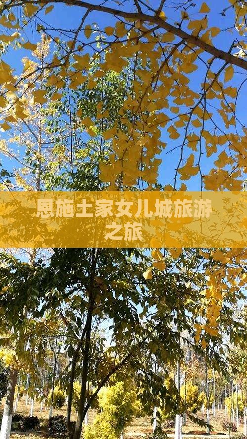 八月到恩施土家女儿城旅行社