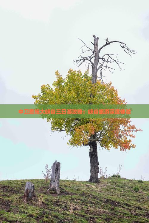 中卫去恩施大峡谷三日游