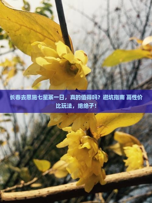 长春去恩施七星寨一日