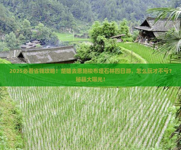楚雄去恩施梭布垭石林四日游