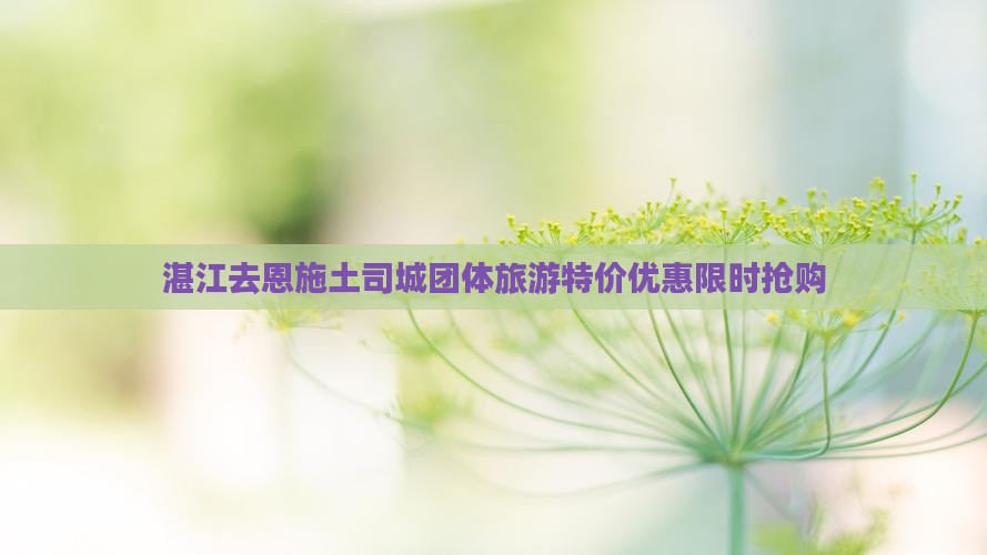 湛江去恩施土司城团体旅游