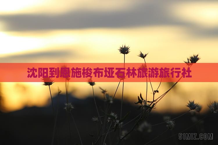 沈阳去恩施梭布垭石林旅行社