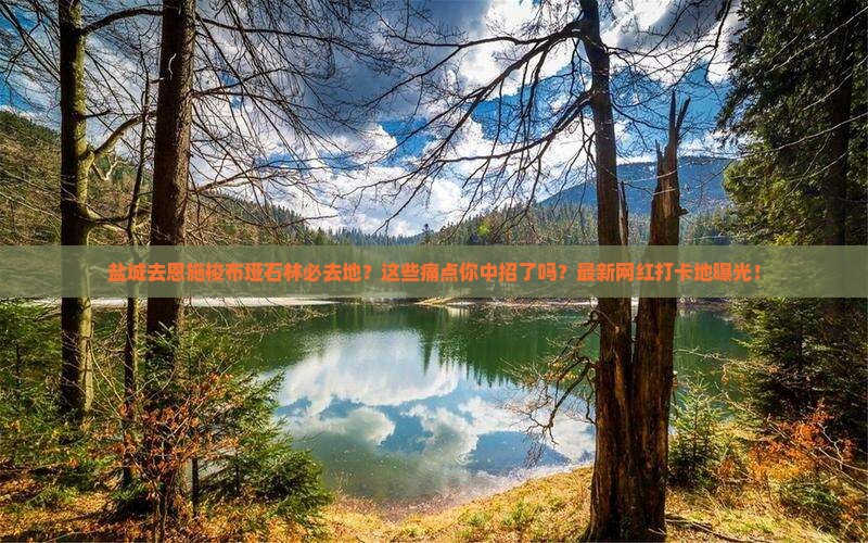 盐城去恩施梭布垭石林必去地