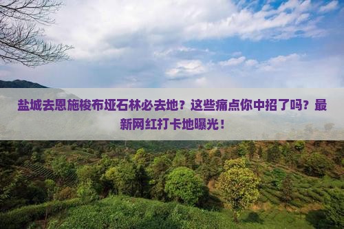 盐城去恩施梭布垭石林必去地