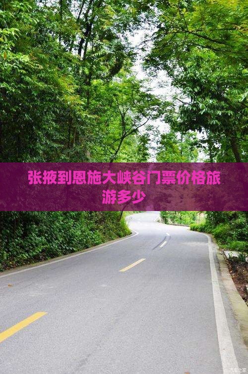 张掖到恩施大峡谷门票