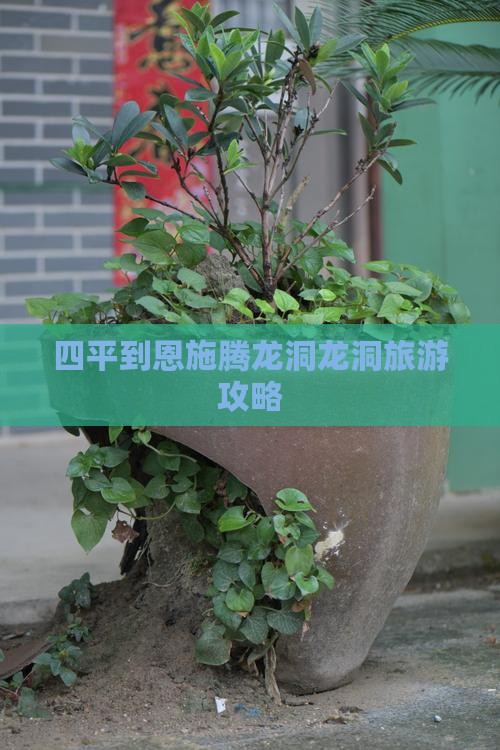 四平到恩施腾龙洞自由团