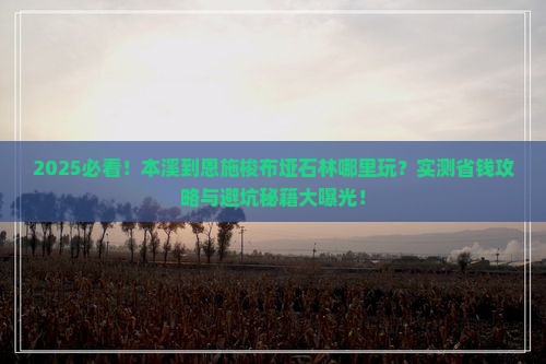 本溪到恩施梭布垭石林哪里玩 本溪到恩施梭布垭石林哪里玩