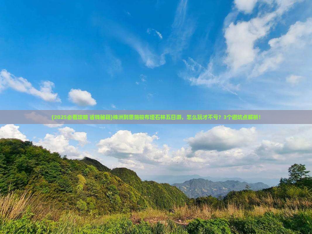 株洲到恩施梭布垭石林五日游