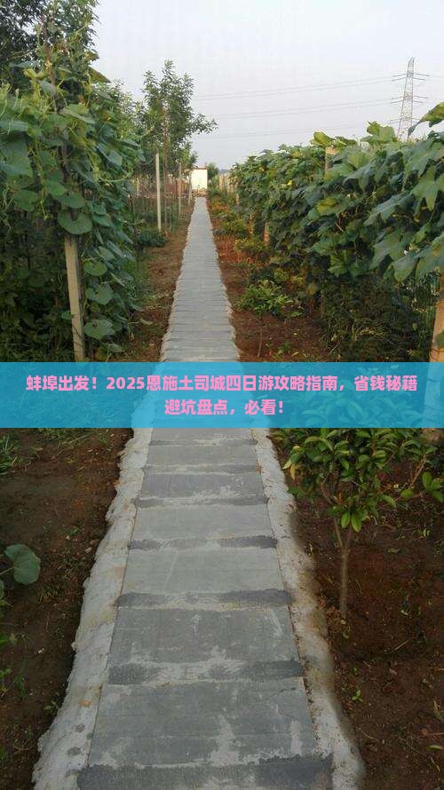 蚌埠去恩施土司城四日游
