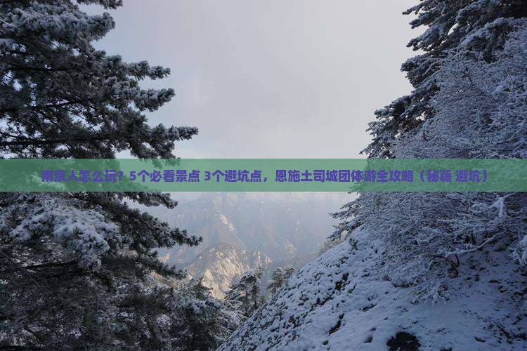南京去恩施土司城团体旅游