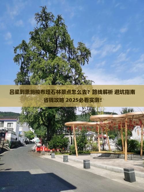 吕梁到恩施梭布垭石林景点