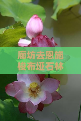廊坊去恩施梭布垭石林旅游小吃