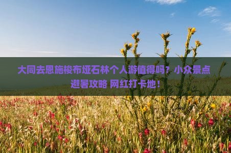 大同去恩施梭布垭石林个人游